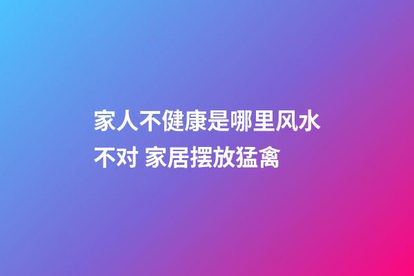 家人不健康是哪里风水不对 家居摆放猛禽